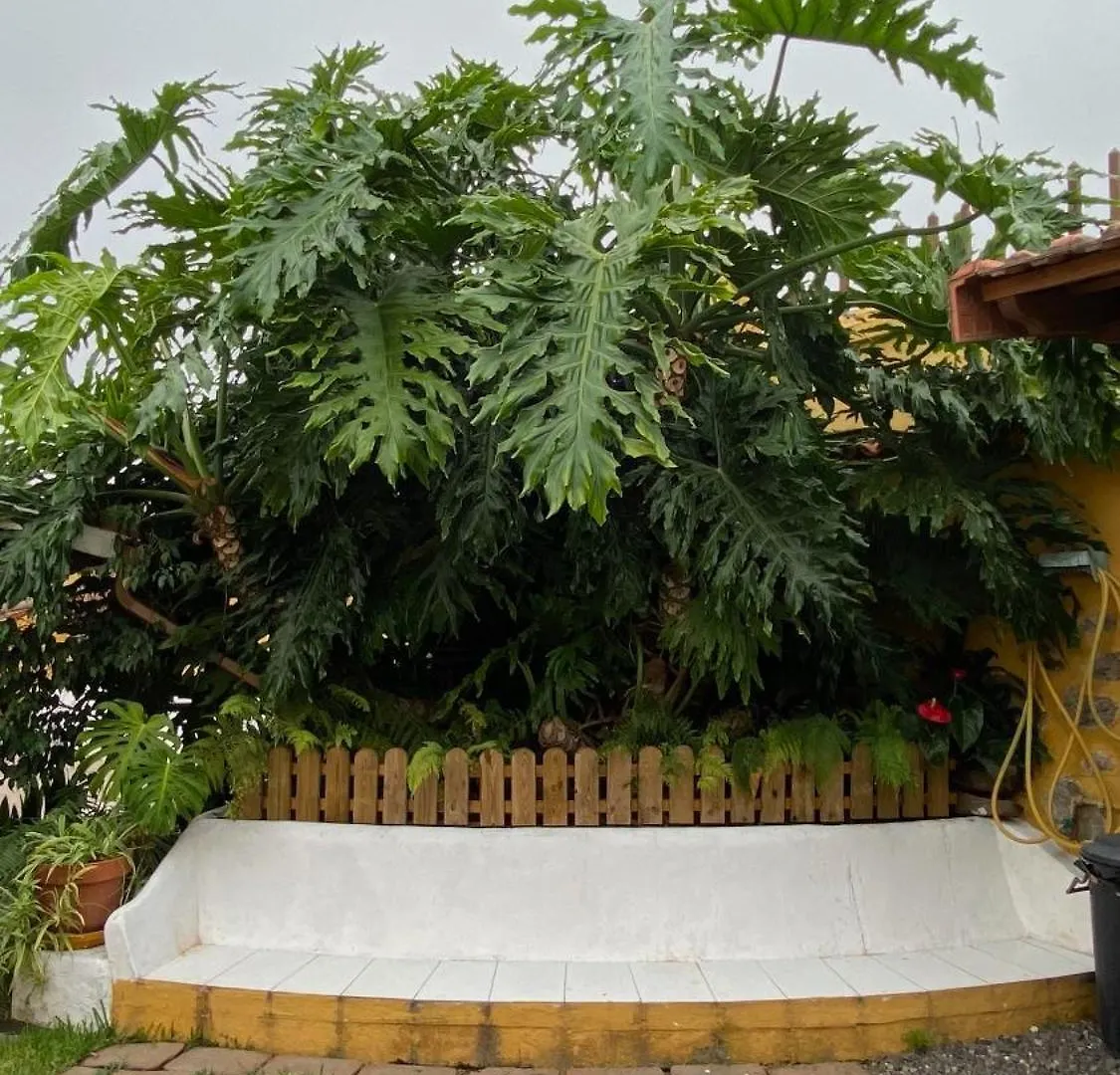 Casa Rural La Ganania Λος Ρεαλέχος Εξοχικό σπίτι